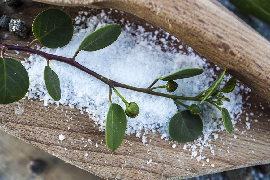Capperi di Salina Sotto Sale: Come dissalarli, Usarli e Conservarli