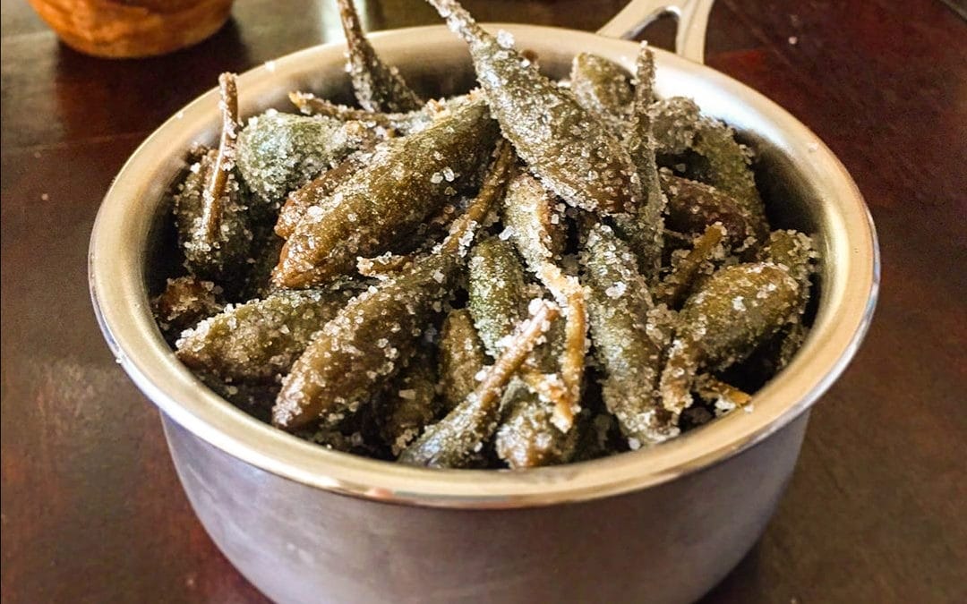 Cucunci Fritti: Ricetta perfetta per stuzzicanti aperitivi